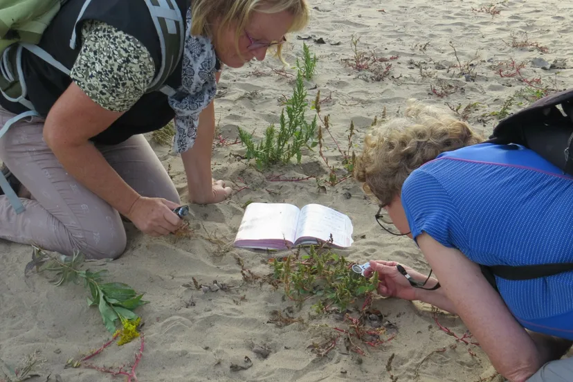 foto wil wamelink wildeplantencursus 2023 scaled