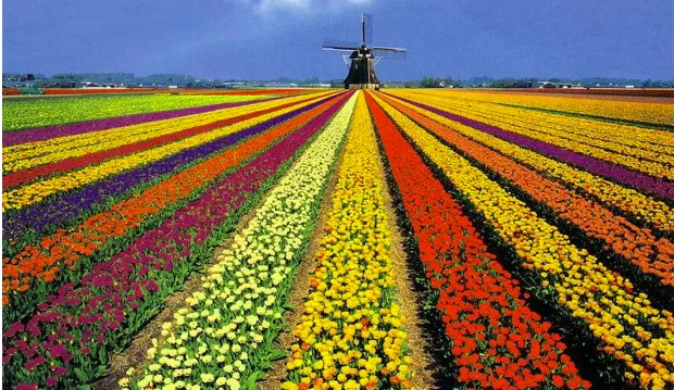 g7t826z6vmpmmkh6moahkkcr7 2014 03 2008 18 36