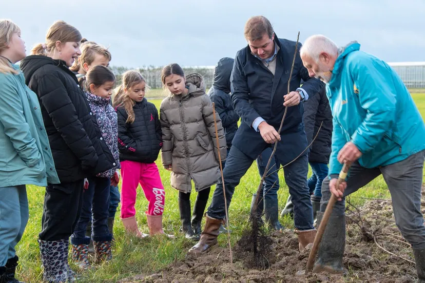 geboorteboomhuissenhans gerichhausendsc 4444