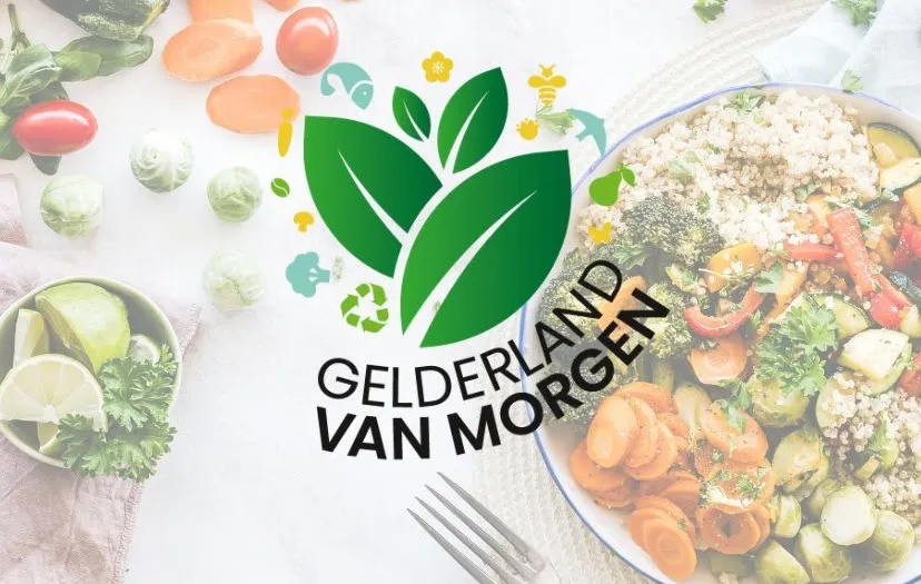 gelderlandvan morgen