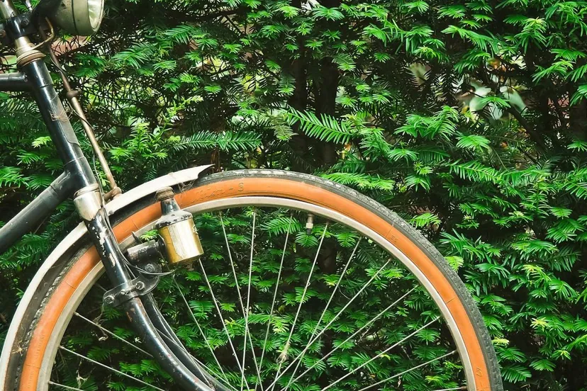 gemeentlingewaardfiets01 0