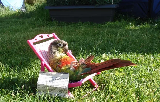 go8kafpza2mpywkc2cu13n3ip 2013 06 2719 48 58