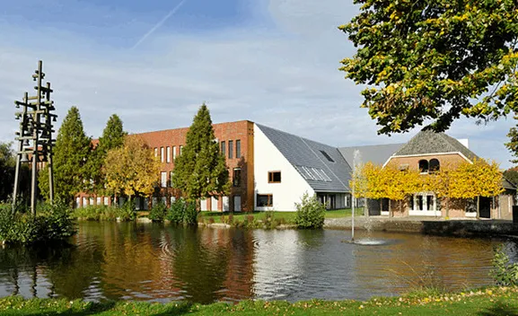 gohlge7e666k42uuwfjxht2nz 0 12