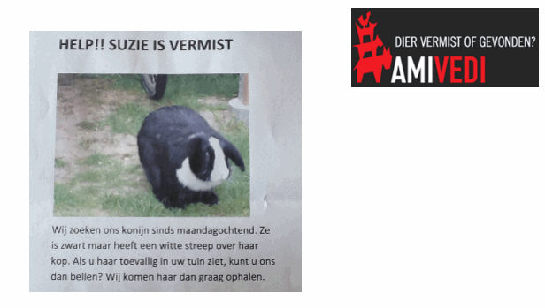 gqzf5a9nvhys6beidx8ipl52x 1 225