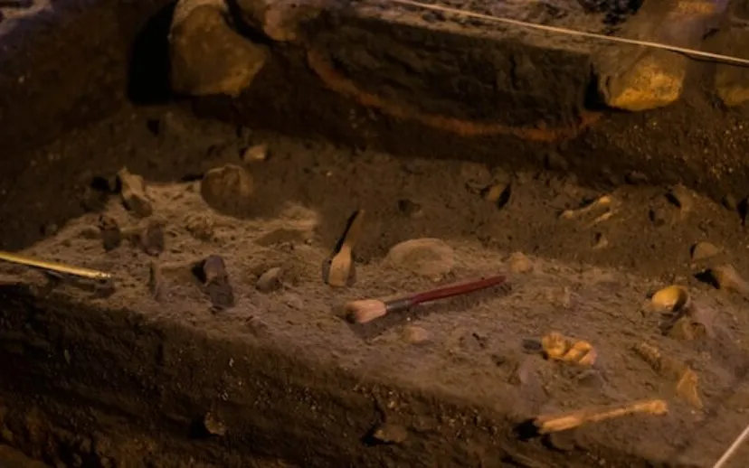 graversunsplashgrianghraf h2cnufnwdy unsplash 915x518 1