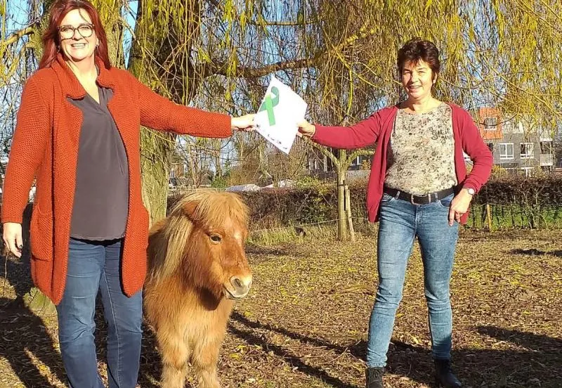 groenlinksfractievoorzitterlintje