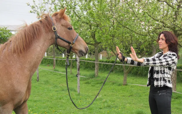 hd5m0ixat52l6n5ru7unwa8k0 1 557