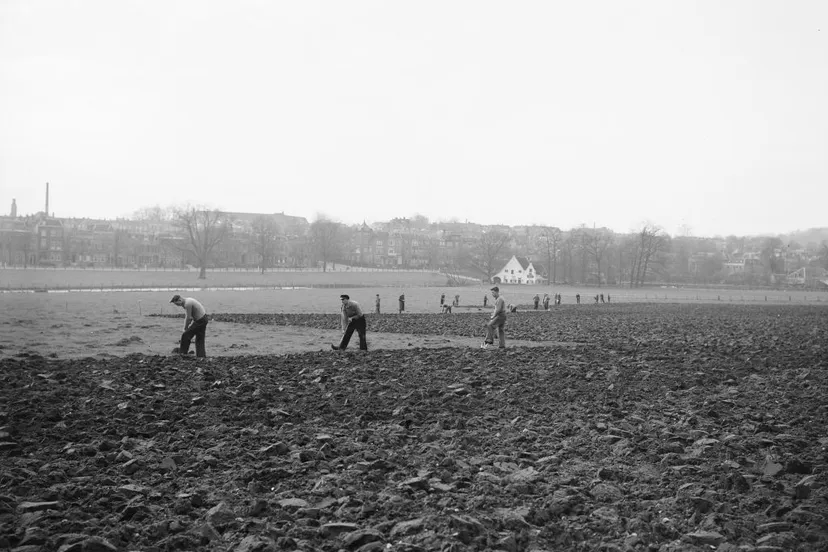 histherbergafb 1 volkstuintjes grote weide sonsbeek nl hana 2240602 0 192 0876 1