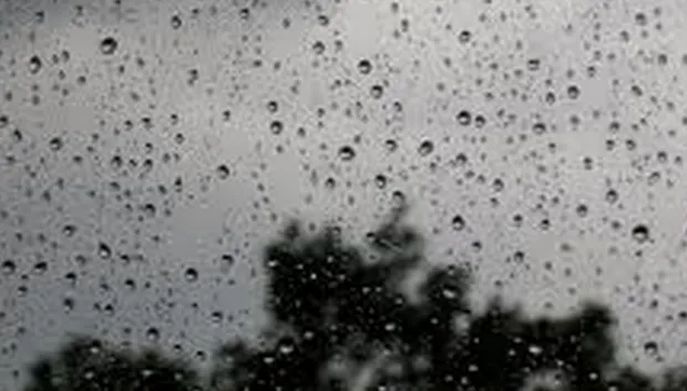 hm41boj499qxpnit7wbw6hir1 regen 2