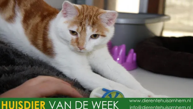 hpndw3o0f2asg8kcoalzp8e3n 1 360