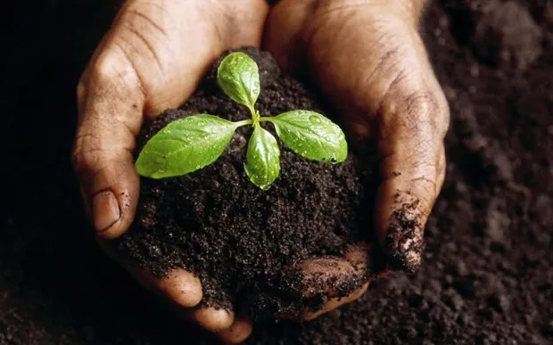 hrjb6n3ckz6u504eewoxtsr53 2014 03 1818 24 23