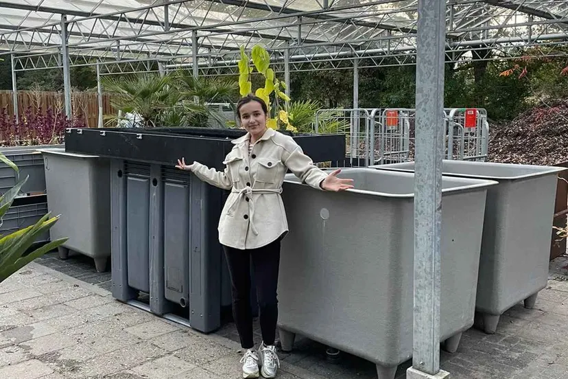 hvhlfeelsprout britte van die vanhalllarenstein