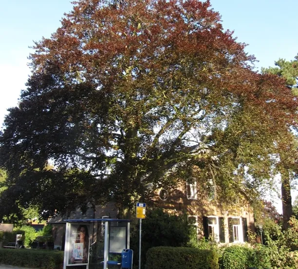 iax0bmzbsf6e1b2xsqc2kmun3 1 459