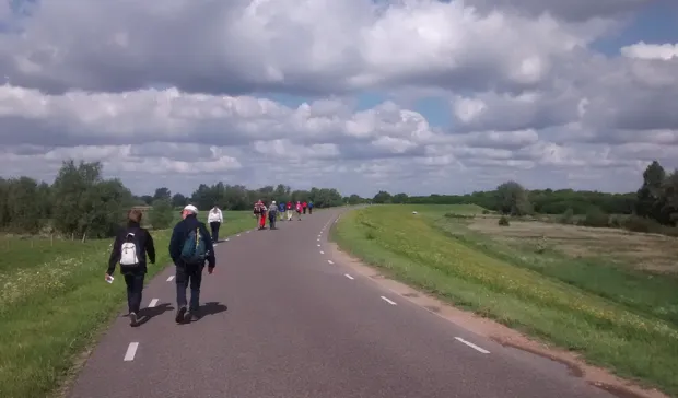 ilq39n02nkzqogq06z7rwzmt2 1 951