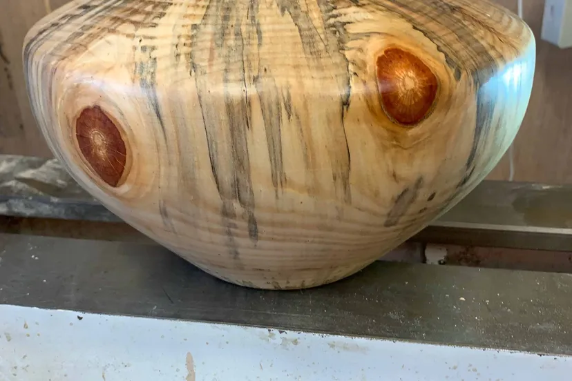 image0 carin van den heuvel