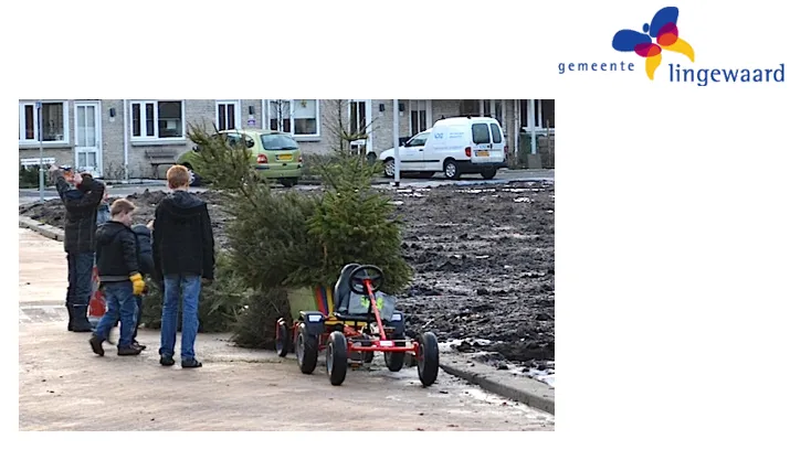 inzameling kerstbomen