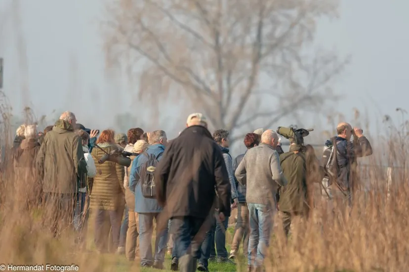 ivn rijnwaal op stap