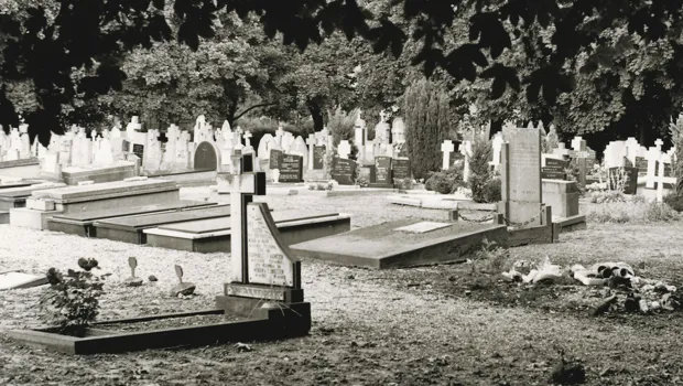 jaxamzktsbr1bja7nb8dzmxr9 1 905