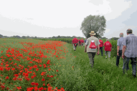 jb5jacr7lu0cpbz4mqzy1uisc bol