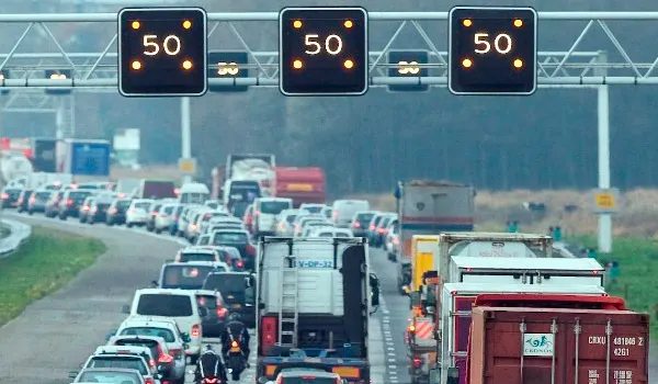 jngcjv9uc696tiarrq3s11cd8 1 275