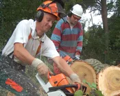 k68zw15n9jtm9ueo90etqb23c 184285