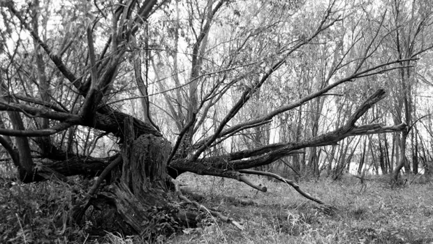 k96hlpxdpf0iwkt81t5poa15f 1 786