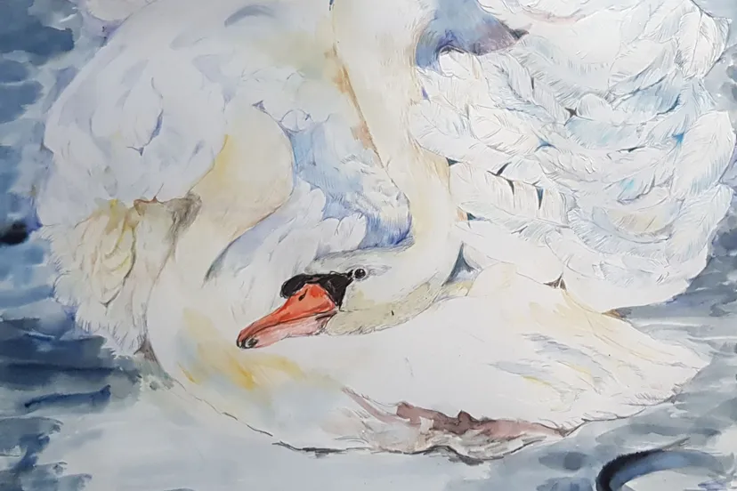 kijkruit20200330 194738 jan rooding