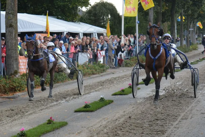 kortebaan bemmel 2019