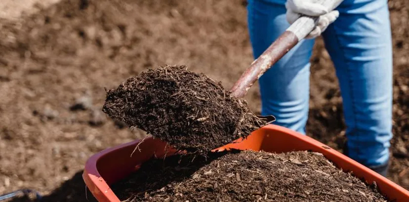 landelijkecompostdag website