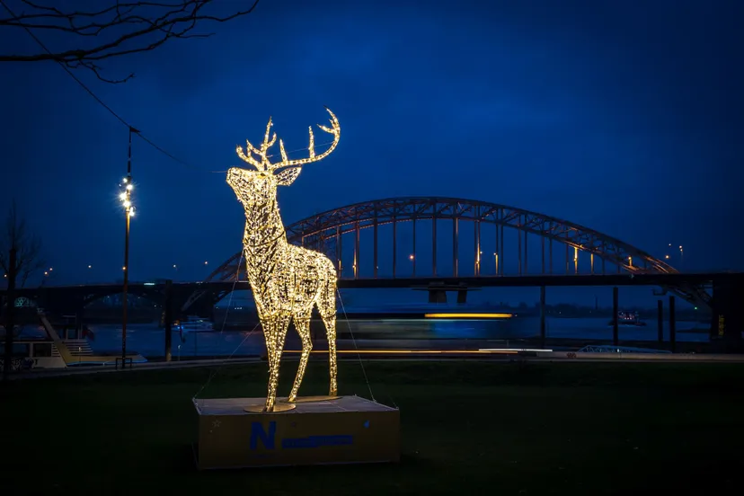 lichtsculptuur hert jan willem de venster