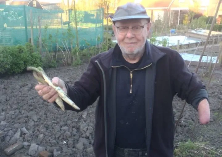 lingewaard nieuws asperges jan de moor e1491245913240