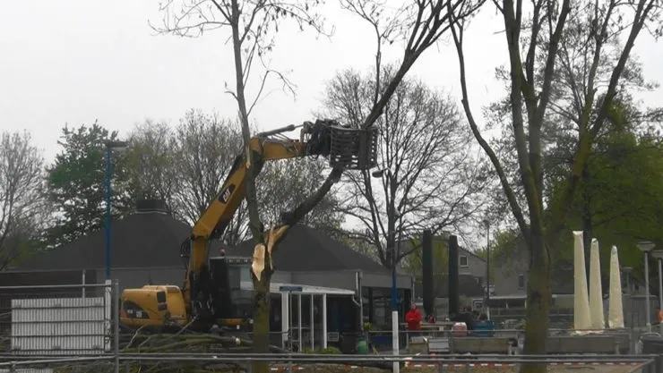 lingewaard nieuws rkhvv kap bomen e1492771060150