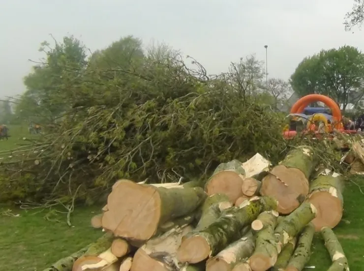 lingewaard nieuws vernielde bomen e1493738026767