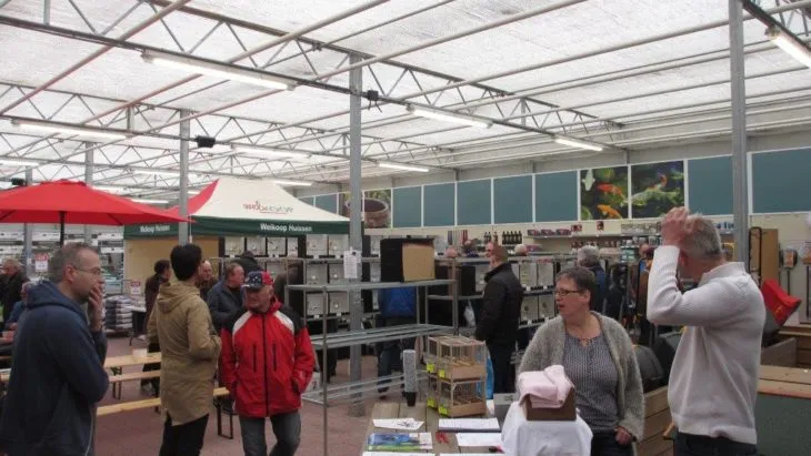 lingewaard nieuws vogelmarkt tijdens ferry leidy en dennis e1488276040680