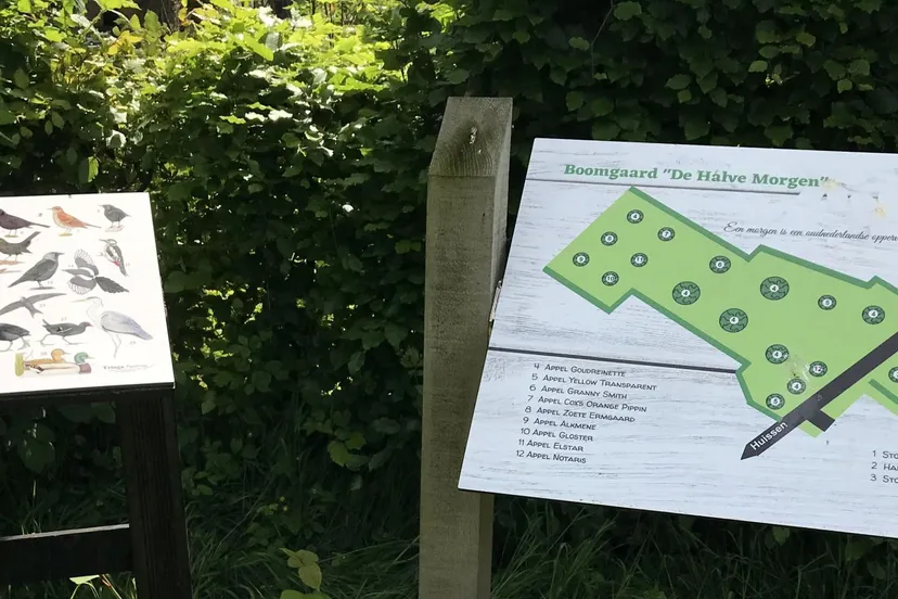 lingewaarddoet chequepaneel vogels boomgaard