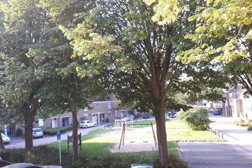 lingewaarddoet2020314image