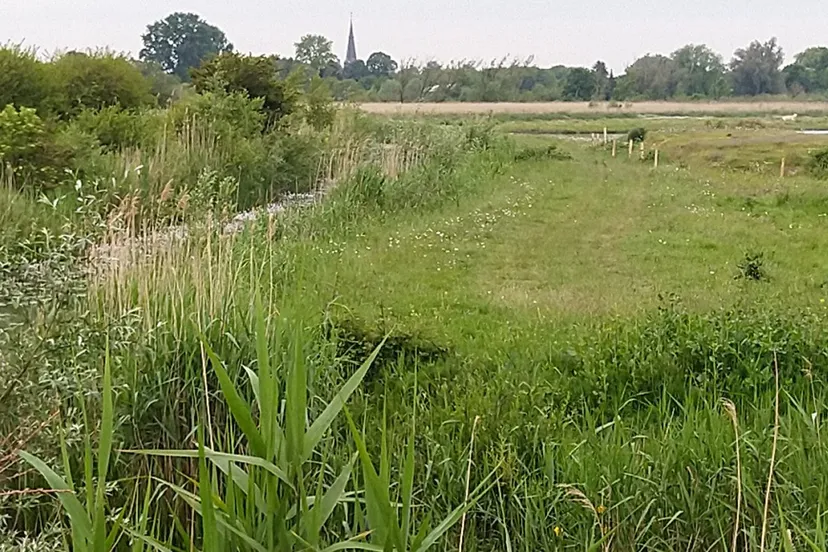 lingewaardnatuurlijk 1