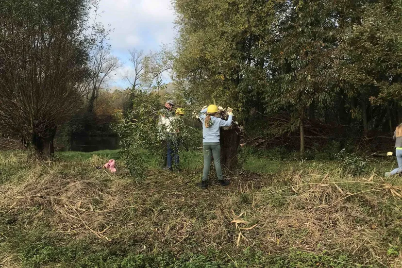 lingewaardnatuurlijkstagebegeleiderimg 6771 kopie scaled 1