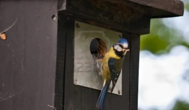 lo1083u6axrywf939ebn3q733 2013 11 3012 07 03