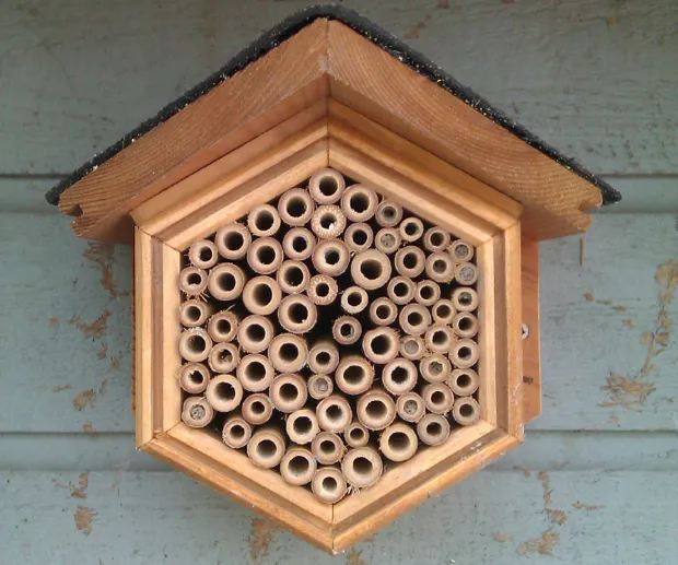 lwo11wa5vk0cwvrdypxf87gyz 2014 01 2118 41 03