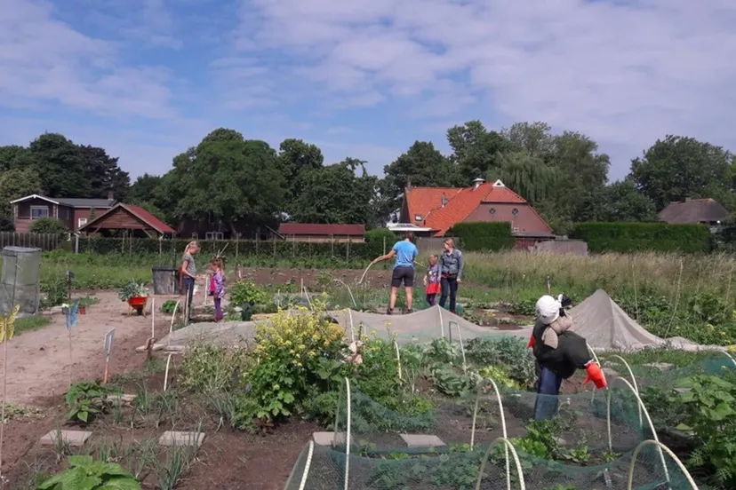 moeshoevehuissengemeentenieuwslingewaardb2cdcd00 9dc0 4ef4 b175 b5e019424b3b thumb1440