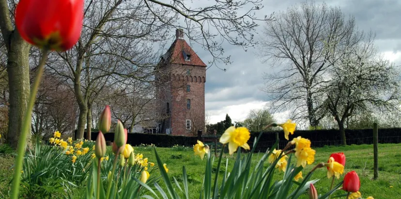 monumentenprijsgem lingewaardkasteel poelwijk