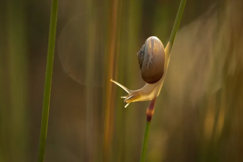 mooilingewaardomroeplingewaardhst 6467 bewerkt 1024x576 1