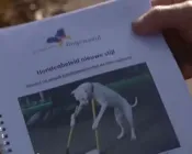 mpv9hli5x5y3c75ydjrkvg0fd 222925