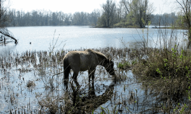 mvd19183v4auuxcvr1ybe0nwt 2 8 2013 12 56 38