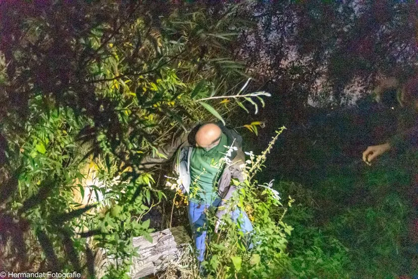 nacht van de nachthermanhendriks 6664