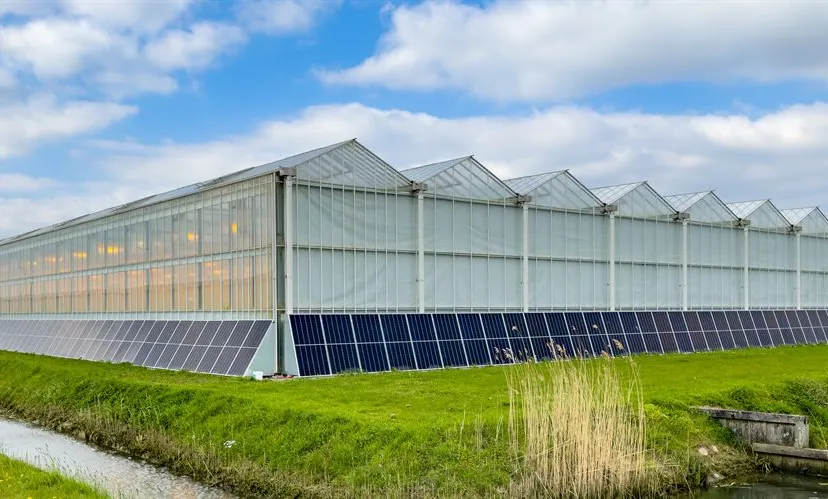 nextgarden spotcompanion 2233