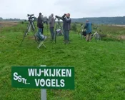 nieb7go4tc7erwd21nbmcy0yi 206821