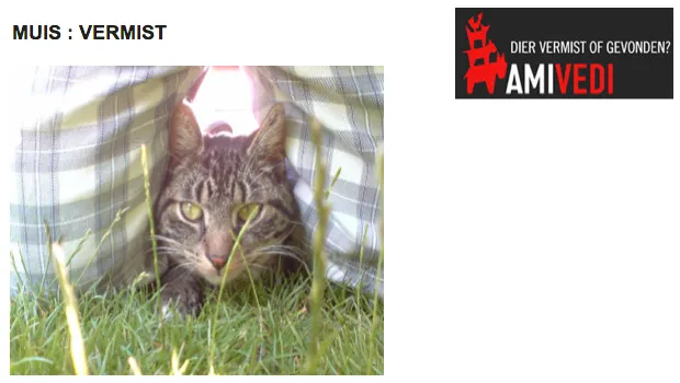 nmrunk4q4wlhwbhuzfpkypisf 1 270