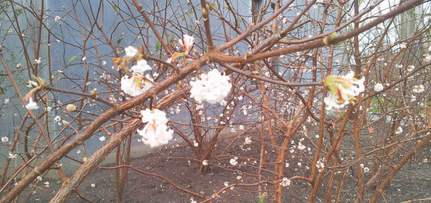 nr1xdf072gg3i81lwzuv9bceu 1 721